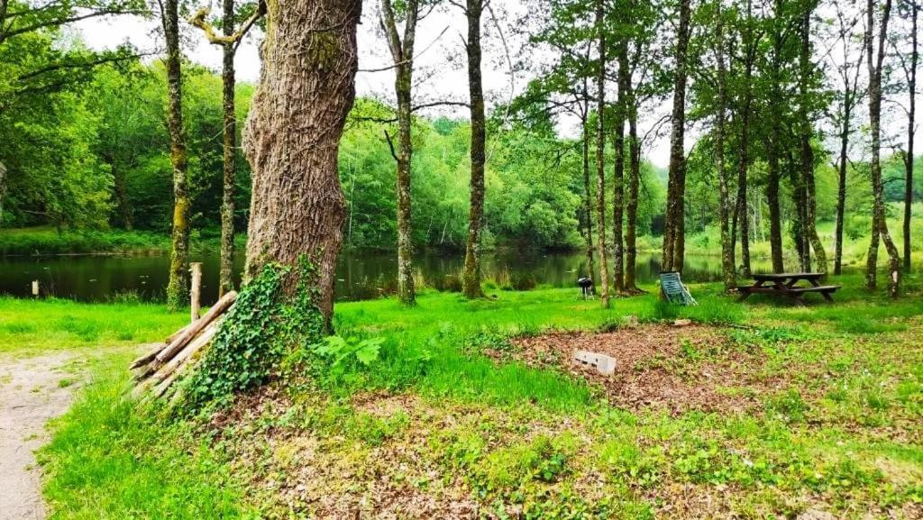 Cap Nature - T3 Et T4 En Perigord Vert - Ideal Pros Et Groupes Max 18P Champniers-et-Reilhac Exterior foto