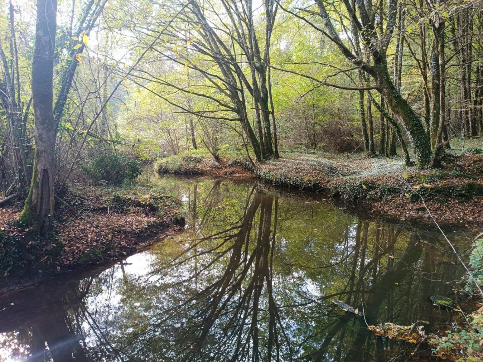 Cap Nature - T3 Et T4 En Perigord Vert - Ideal Pros Et Groupes Max 18P Champniers-et-Reilhac Exterior foto