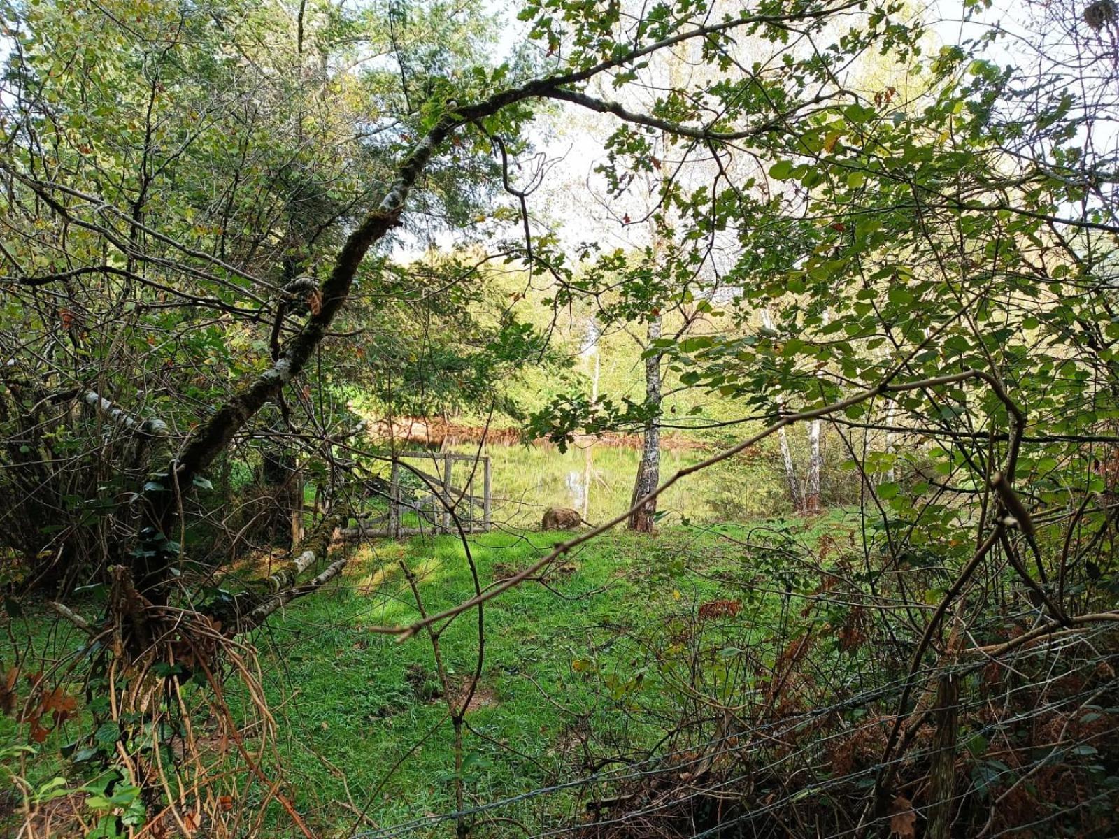 Cap Nature - T3 Et T4 En Perigord Vert - Ideal Pros Et Groupes Max 18P Champniers-et-Reilhac Exterior foto