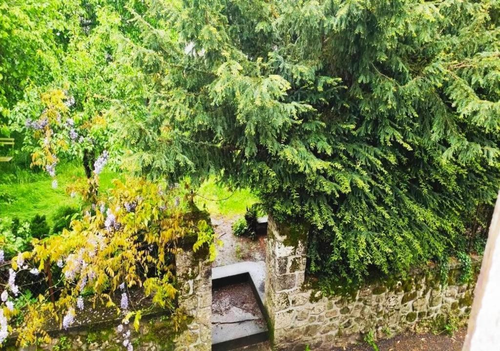 Cap Nature - T3 Et T4 En Perigord Vert - Ideal Pros Et Groupes Max 18P Champniers-et-Reilhac Exterior foto